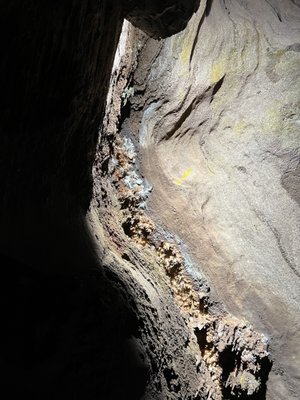 The Lost Sea Adventure by null