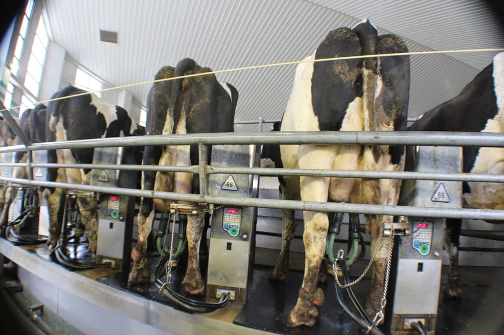 VAN DEURZEN DAIRY Updated September 2024 2500 County Rd 110, Alger