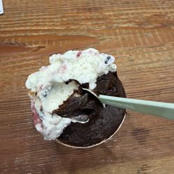 Gelateria Borsieri - Dark chocolate and yogurt flavored ice cream