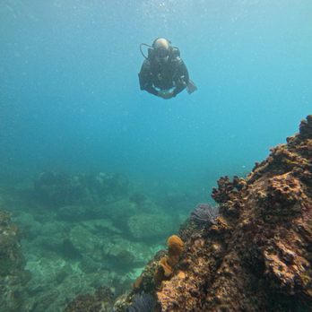 Dive Cabo - Scuba Diving Near Me - Cabo San Lucas, BCS