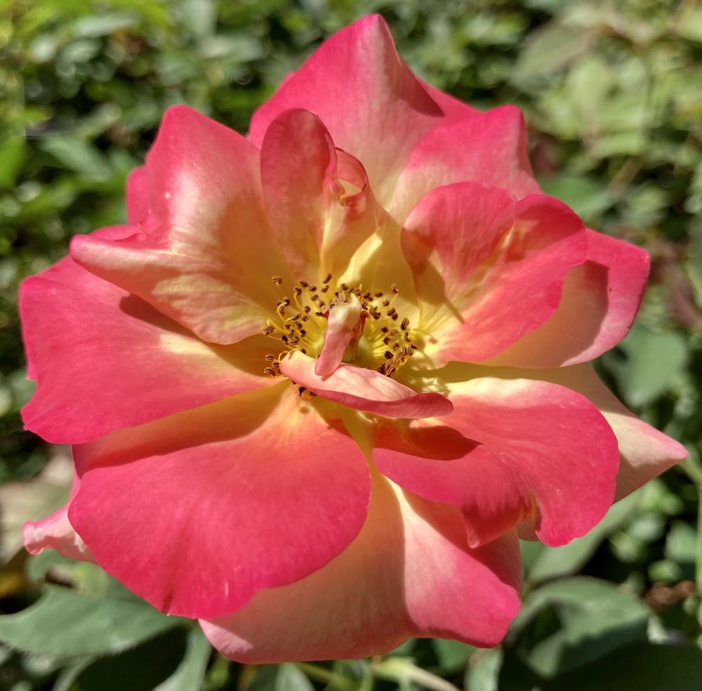 TRUSTY FARMS TEMP. CLOSED Updated July 2024 1020 Old Jackson Hwy