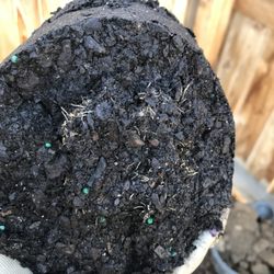 Grower's Solution - Sold as 1 gallon mature shrub. Clearly a 3" plug stuck in a gallon of dirt just prior to shipping.
