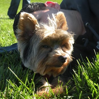 PetSmart - My dog after leaving groomer (Allen) - Pet Stores Near Me - Daly City, California