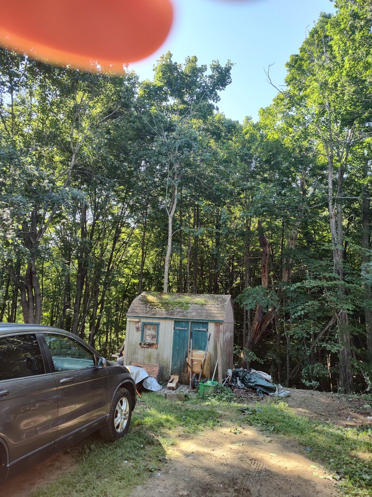 VILLAGE TREE Updated September 2024 46 Photos Rollinsford, New