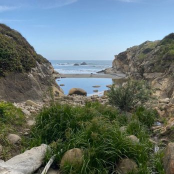 Salal Trail - View of the beach off the Salal Trail. The Salal Creek empties into the ocean here. - Hiking Near Me - Gualala, California