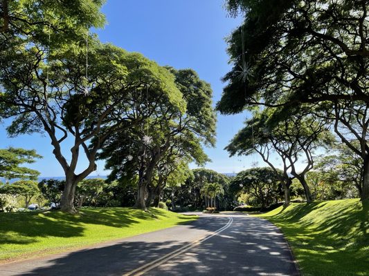 Four Seasons Resort Lanai by null