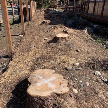 J & J Stump Grinding - Tree Services Near Me - Renton, Washington