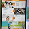 Dogtopia of South Chandler gift card