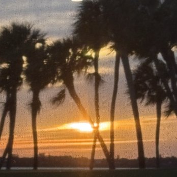 The Nest - American Near Me - Jensen Beach, Florida