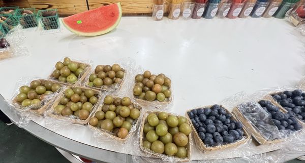 Georgia's Farmer's Market by null
