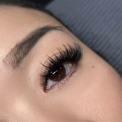 Lash N Dash Beauty