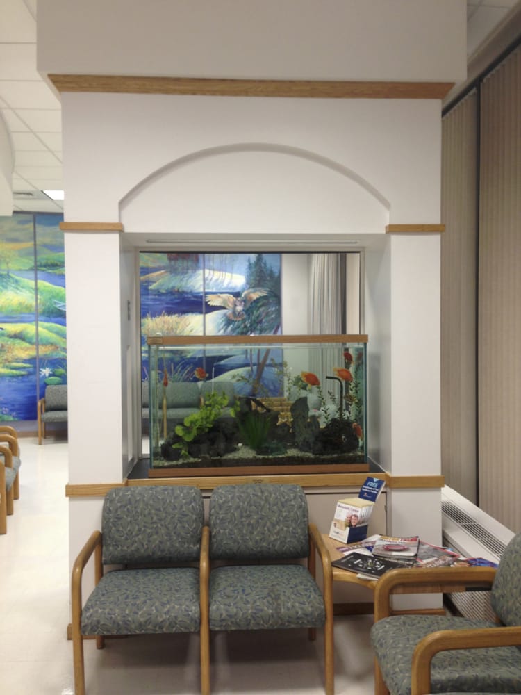 CONNECTICUT AQUARIUM SERVICES Updated August 2024 20 Photos New