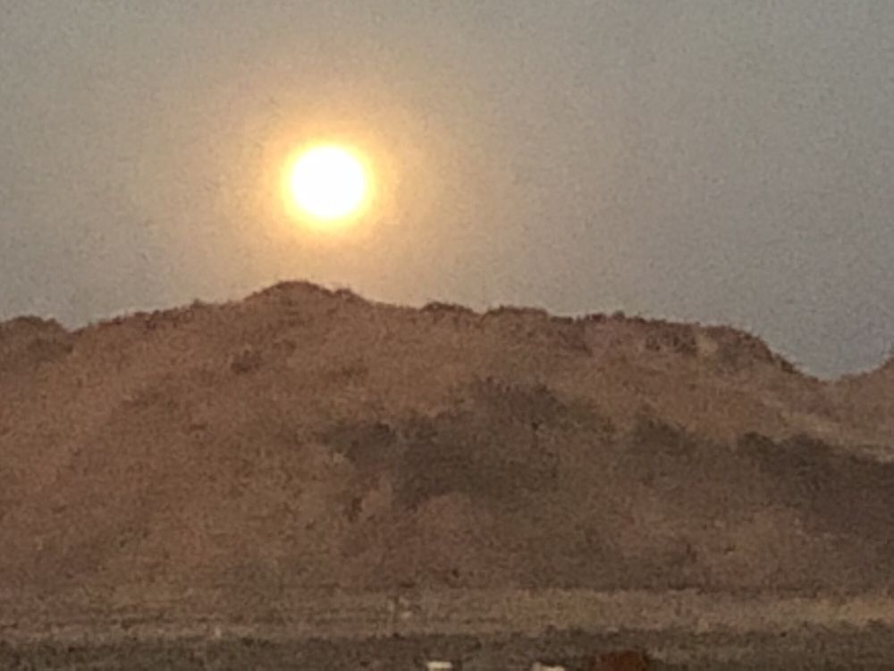 SHARON ROSE REALTY Updated October 2024 5424 Old Woman Springs Rd, Yucca Valley, California