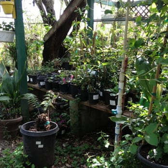 Stan & Bev's Country Nursery - Nurseries & Gardening Near Me - Manteca, California Stan & Bev's Country Nursery - Nurseries & Gardening Near Me - Manteca, California