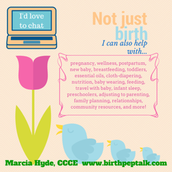 Marcia Hyde, CCCE - Not just birth; supported parenthood journeys