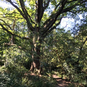 Hampstead Heath - Parks Near Me - London, XGL