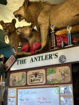 Antlers Restaurant by null