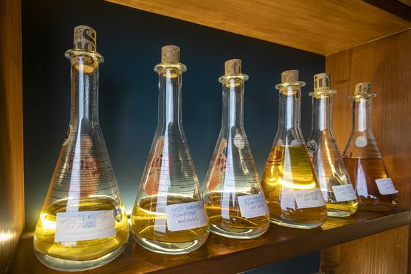 The Gin Library - The Worlds Largest Gin Collection by null
