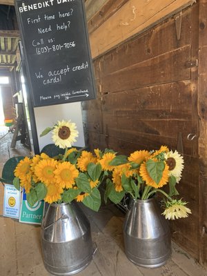 Benedikt Dairy by null