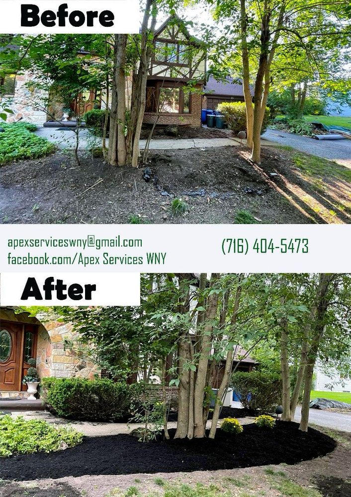 Apex Services - tree service in Buffalo, NY