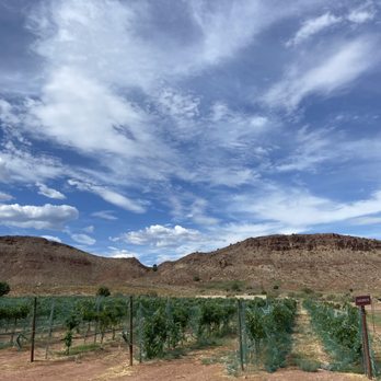 Zion Vineyards - Wine Tasting Room Near Me - Leeds, Utah