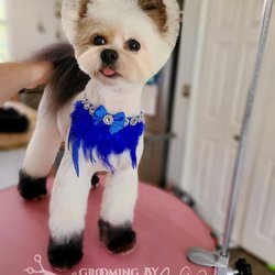 Southern Styles Dog Grooming - Color available.