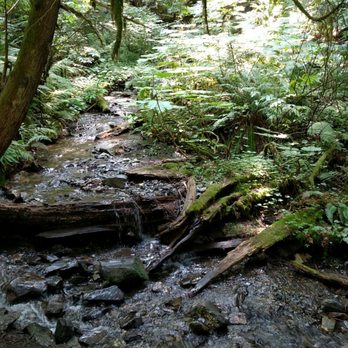 Bridal Veil Falls Provincial Park - Parks Near Me