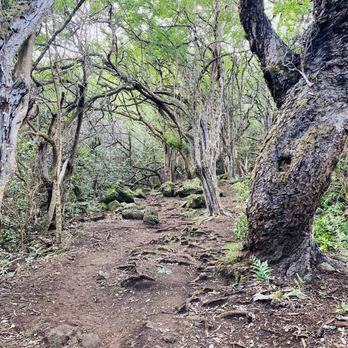 Kuliouou Ridge Trail - Hiking Near Me - Honolulu, Hawaii Kuliouou Ridge Trail - Hiking Near Me - Honolulu, Hawaii