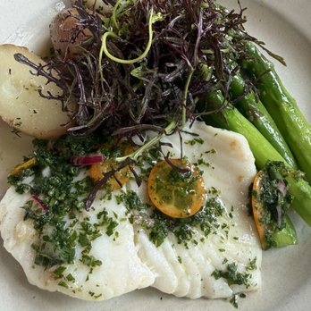 Chez Panisse - Northern Halibut (delicious)! - New American Near Me - Berkeley, California