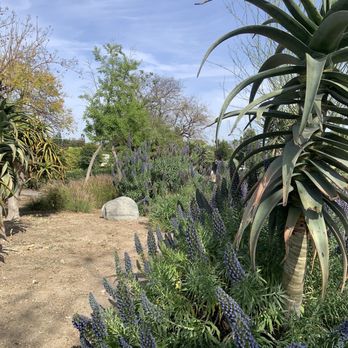 Jessamyn West Park - Nice flowers 4.23.23 - Parks Near Me - Yorba Linda, California Jessamyn West Park - Nice flowers 4.23.23 - Parks Near Me - Yorba Linda, California