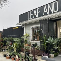 Leaf and Spine