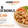 Habibi Bites