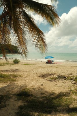 Caracas Beach by null