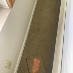 Ron's Carpet Detail