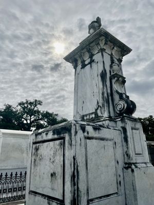 Nola Tour Guy by null