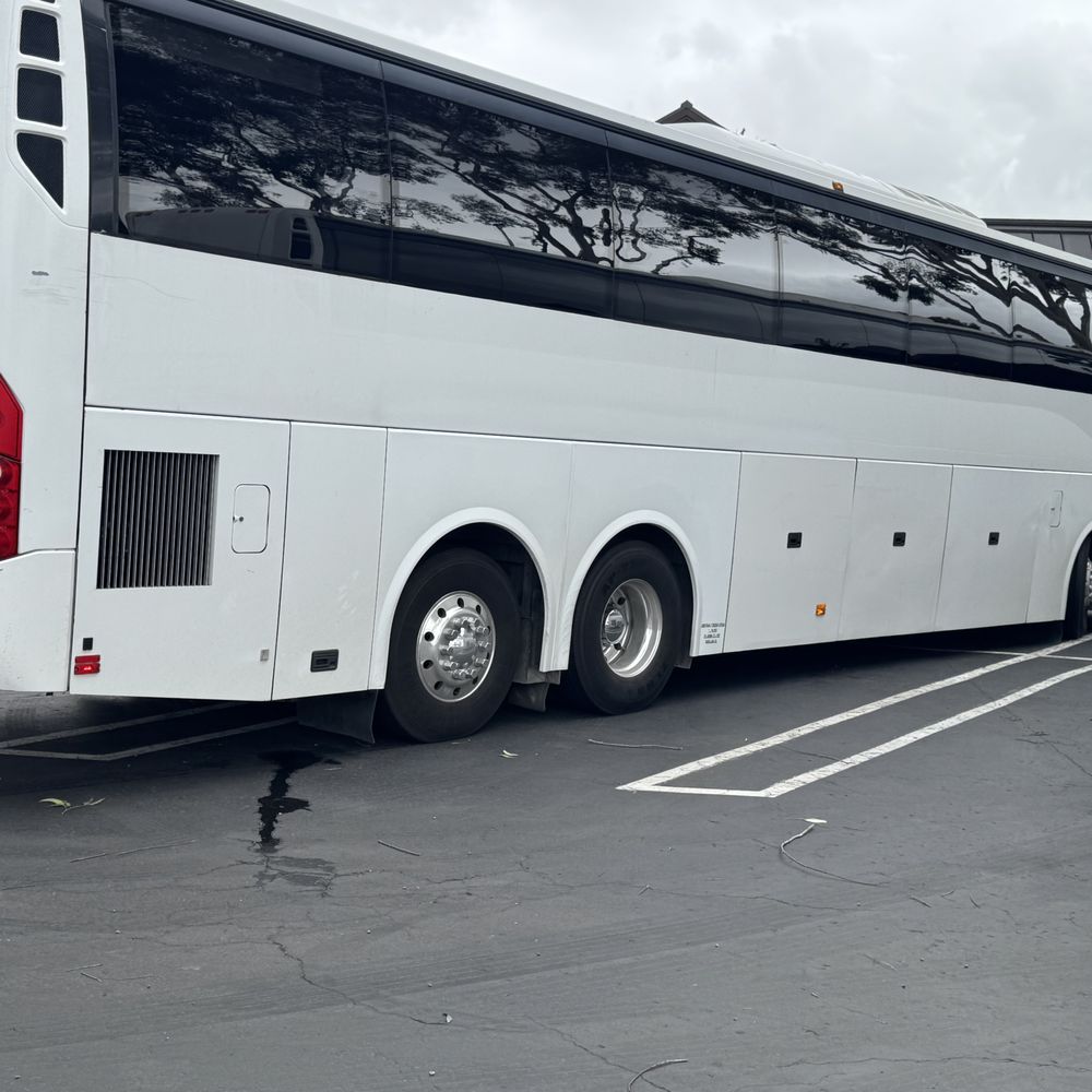 THE BEST 10 BUSES in TIJUANA, BAJA CALIFORNIA, MEXICO - Updated 2026 -  Hours - Yelp