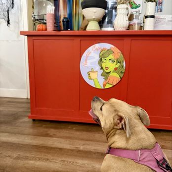 Nopalita Café - My companion, for the evening Hazel, enjoyed a fresh bowl of delicious water at the Nopalita Cafe in Old Town Keller. - Coffee & Tea Near Me - Keller, Texas Nopalita Café - My companion, for the evening Hazel, enjoyed a fresh bowl of delicious water at the Nopalita Cafe in Old Town Keller. - Coffee & Tea Near Me - Keller, Texas