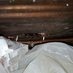 Roberts Roofing - Leak on inside of house