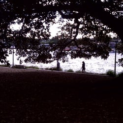 Glebe Point
