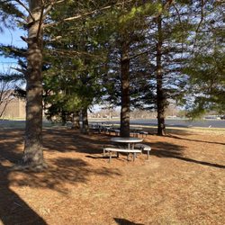 Mt Washington Arboretum