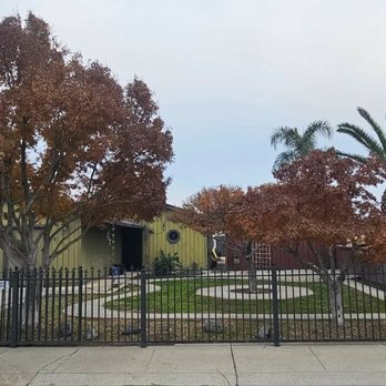 Terriquez Landscaping - Beautiful! - Landscaping Near Me - Lathrop, California