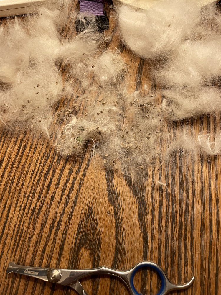 TIPPS CANINE HOLLOW Updated August 2024 55 Photos & 41 Reviews