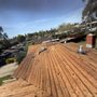 Rivera Roof Removal