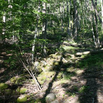 Mount Nemo - Hiking Near Me - Milton, Ontario