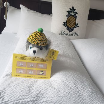 Staypineapple, An Iconic Hotel, The Loop - Love! - Hotels Near Me - Chicago, Illinois Staypineapple, An Iconic Hotel, The Loop - Love! - Hotels Near Me - Chicago, Illinois