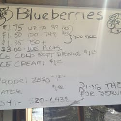 Blueberry Patch Farm