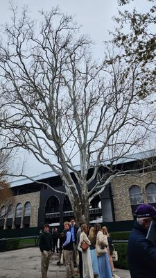 Keeneland Select by null