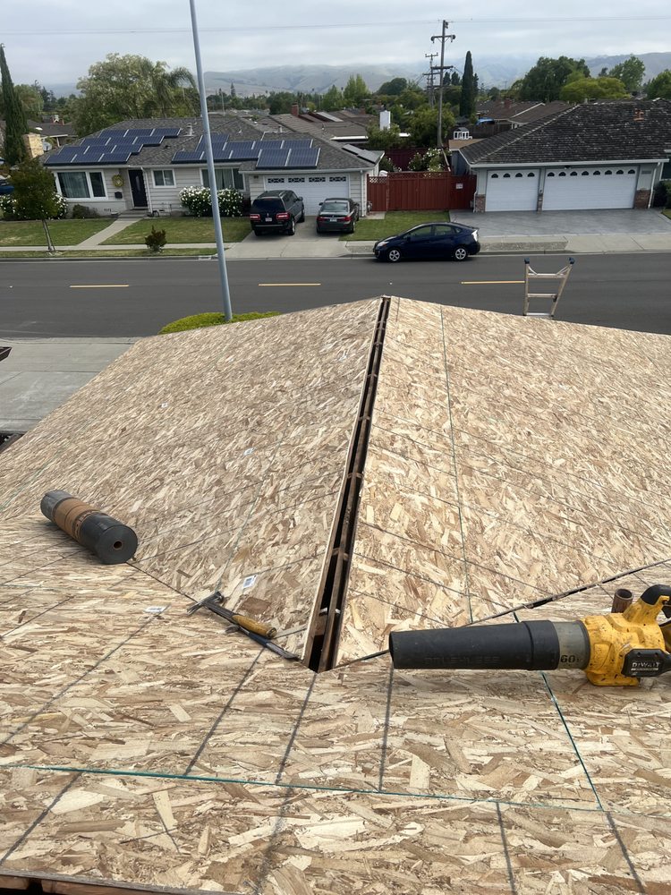 Slide of Israel Professional Roofer