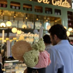 Anita Gelato - Small Gelato (pistachio + strawberry)
