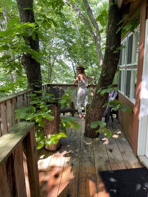 The Cottage | Treehouses & Cabins by null